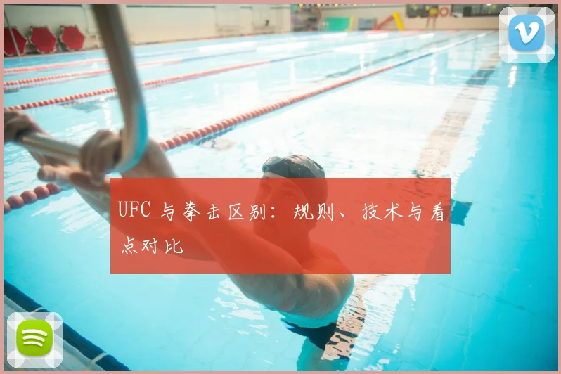 UFC 与拳击区别:规则、技术与看点对比