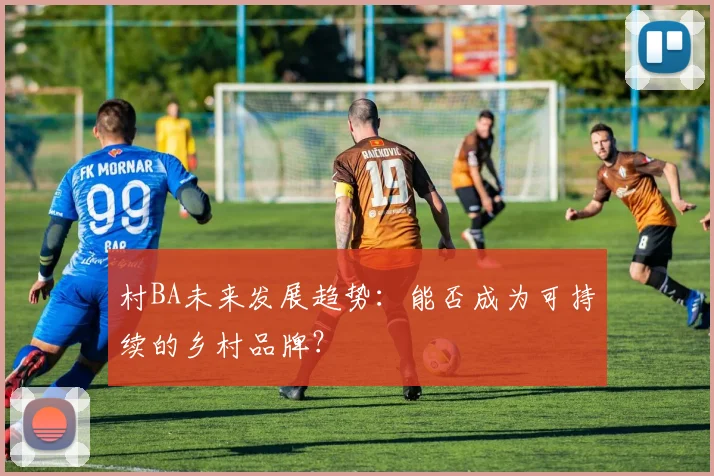 村BA未来发展趋势:能否成为可持续的乡村品牌?